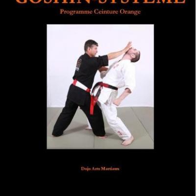 Programme Ceinture Orange - PCO Goshin-système