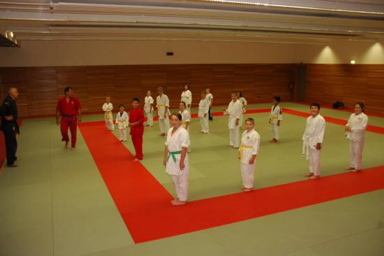 Goshin melange judo karate a drusenheim soufflenheim