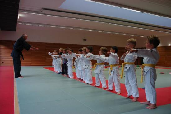 cours judo karate enfants drusenheim