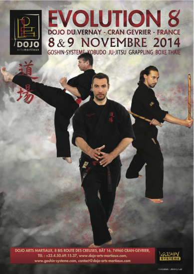 stage arts martiaux ju-jitsu Evolution 8