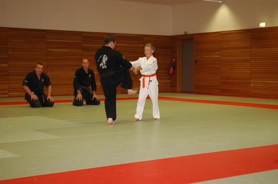 judo-aikido-karate-drusenheim-02.jpg